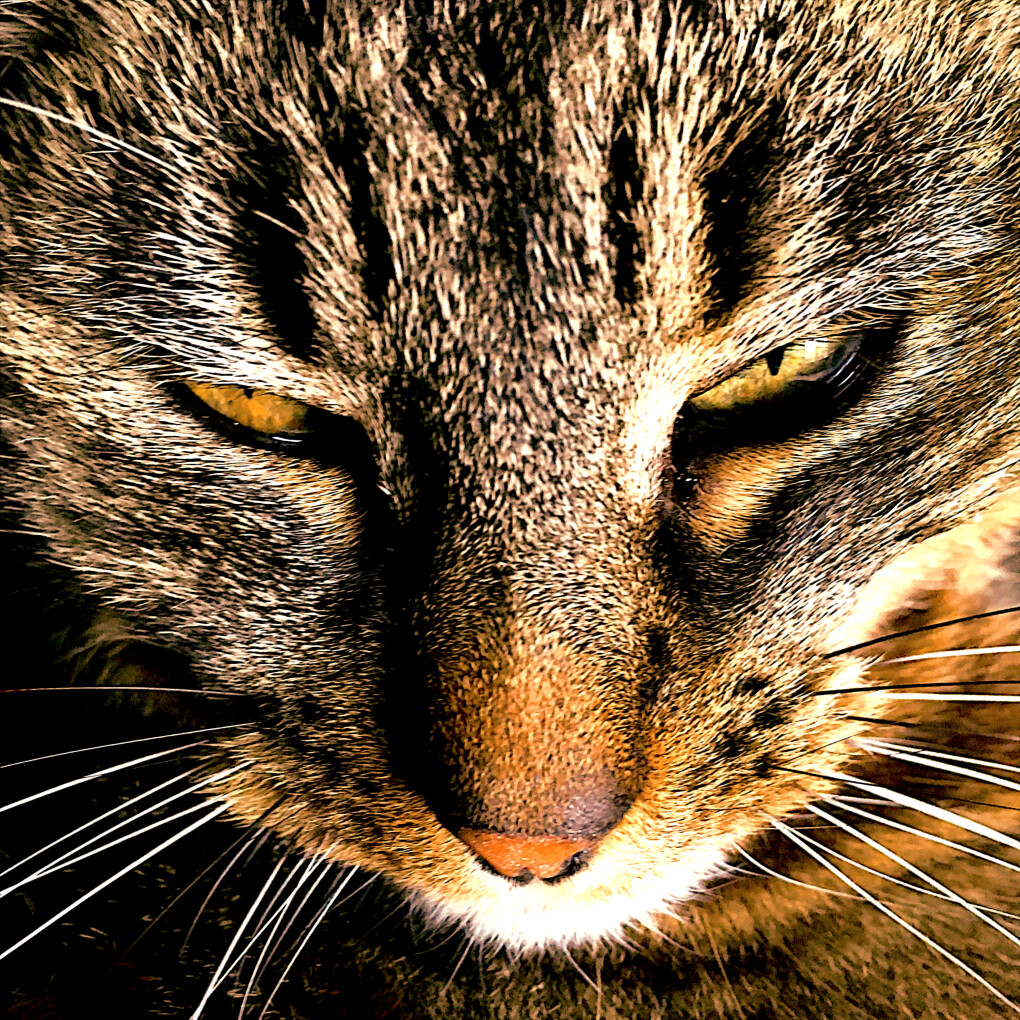 5835584.jpg 5835584.jpg