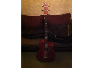 Ibanez EWB20WNE - Natural