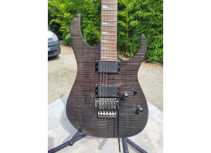 Ibanez RG320DXFM