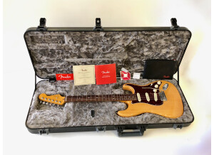 Fender American Ultra Stratocaster (40540)