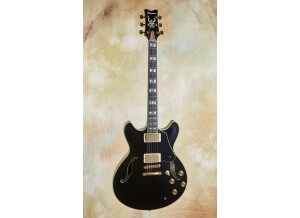 Ibanez JSM20TH 20th Anniversary John Scofield Signature (12084)