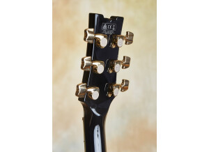 Ibanez JSM20TH 20th Anniversary John Scofield Signature (93090)