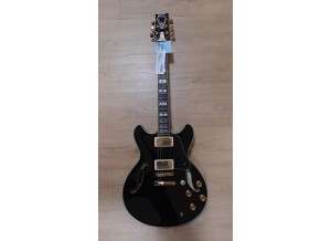 Ibanez JSM20TH 20th Anniversary John Scofield Signature (25357)