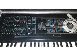 380382573 881133413383368 1858012714403770241 n