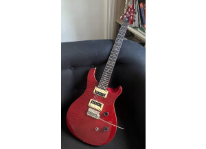 PRS SE Custom 24