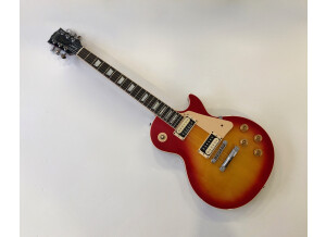 Gibson Les Paul Standard (69687)