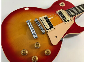 Gibson Les Paul Standard (10110)