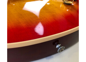 Gibson Les Paul Standard (38462)