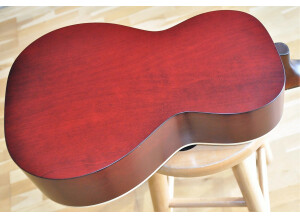 Art & Lutherie Roadhouse A/E (46942)