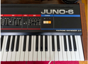 Roland JUNO-6 (48733)