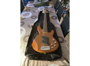 Sandberg (Bass) Panther Special 5