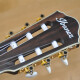 TOD10N Tim Henson Signature TOD10N Tim Henson Signature