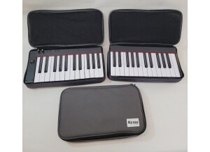 Piano-de-Voyage-3 modules with bags 20231002 150700