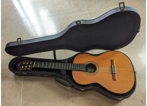 Alhambra Guitars 10P (27321)