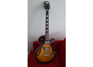 Epiphone Alleykat