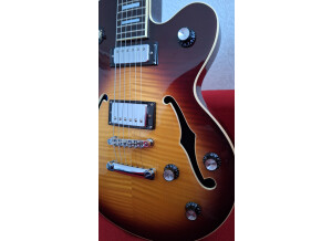 Epiphone Alleykat