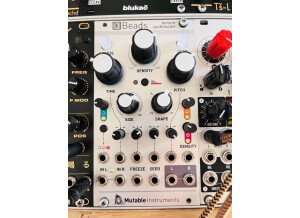 Mutable Instruments Beads (8839)
