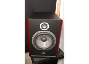 Focal Solo6 Be (37583)