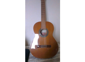 Alhambra Guitars 2C Cedar