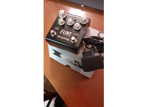 Strymon Flint (64533)