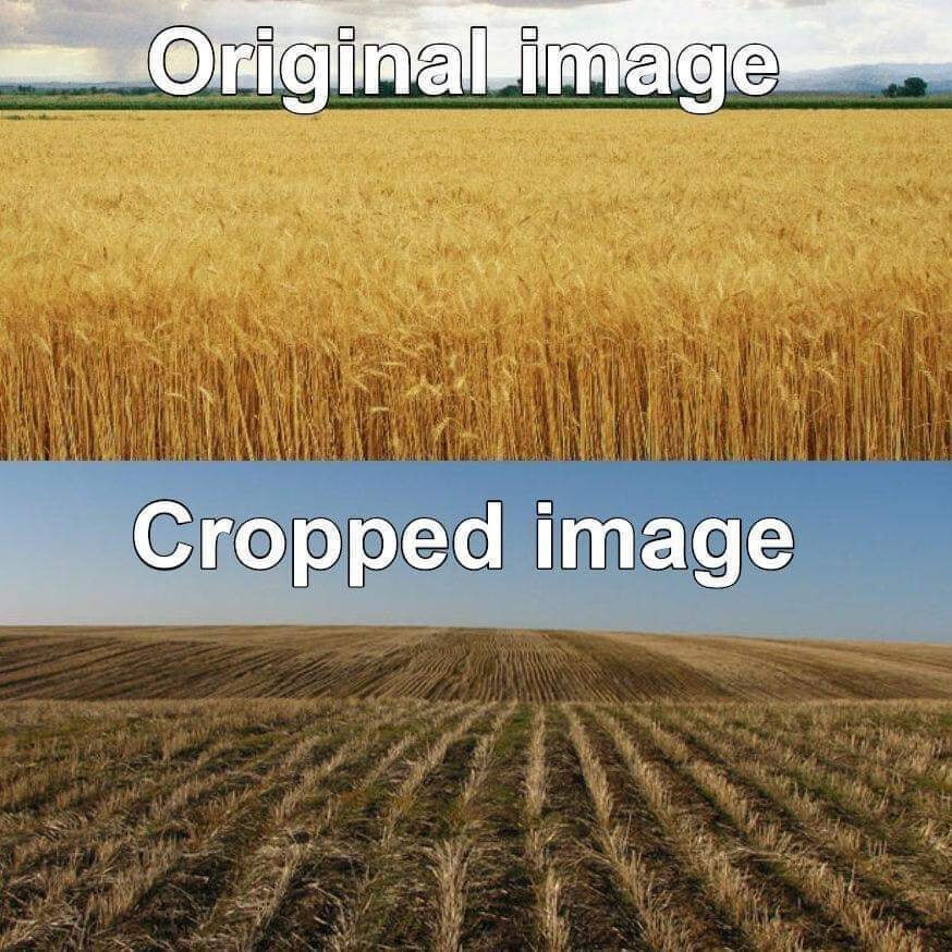 5844791.jpg 5844791.jpg