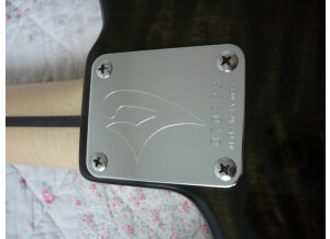 Vigier Excalibur Shawn Lane