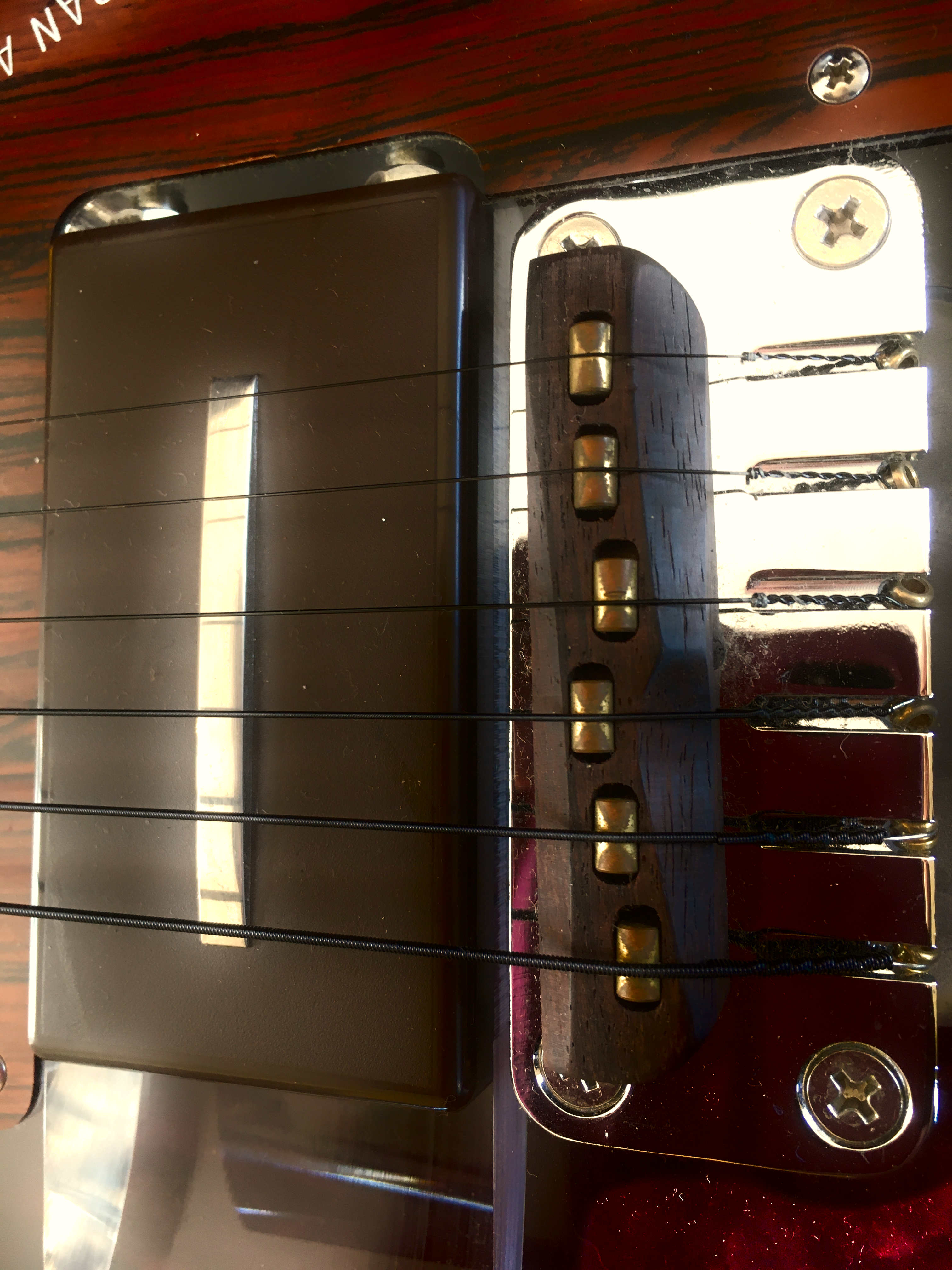 Ampeg Lucite clear (3)