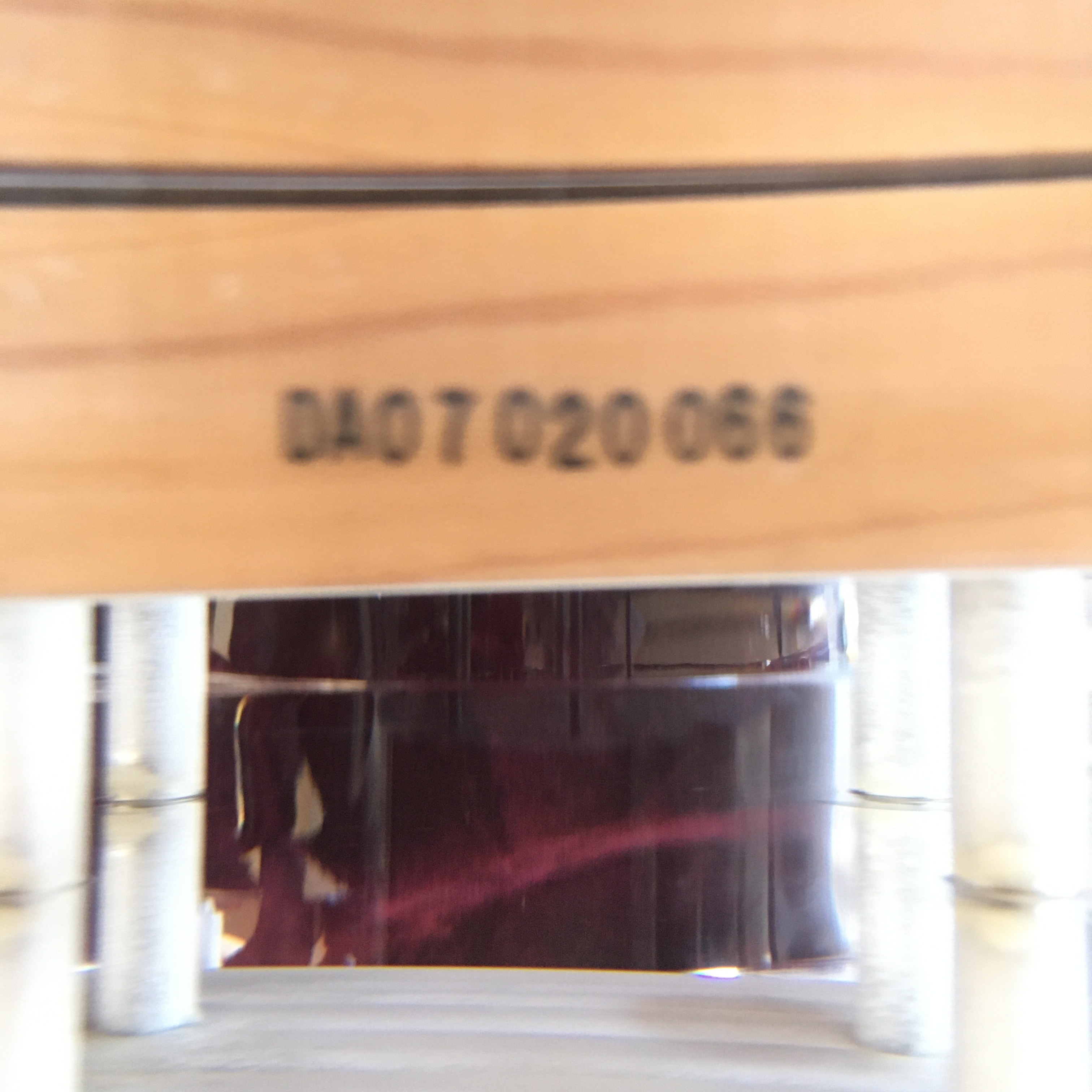 Ampeg Lucite clear (6)
