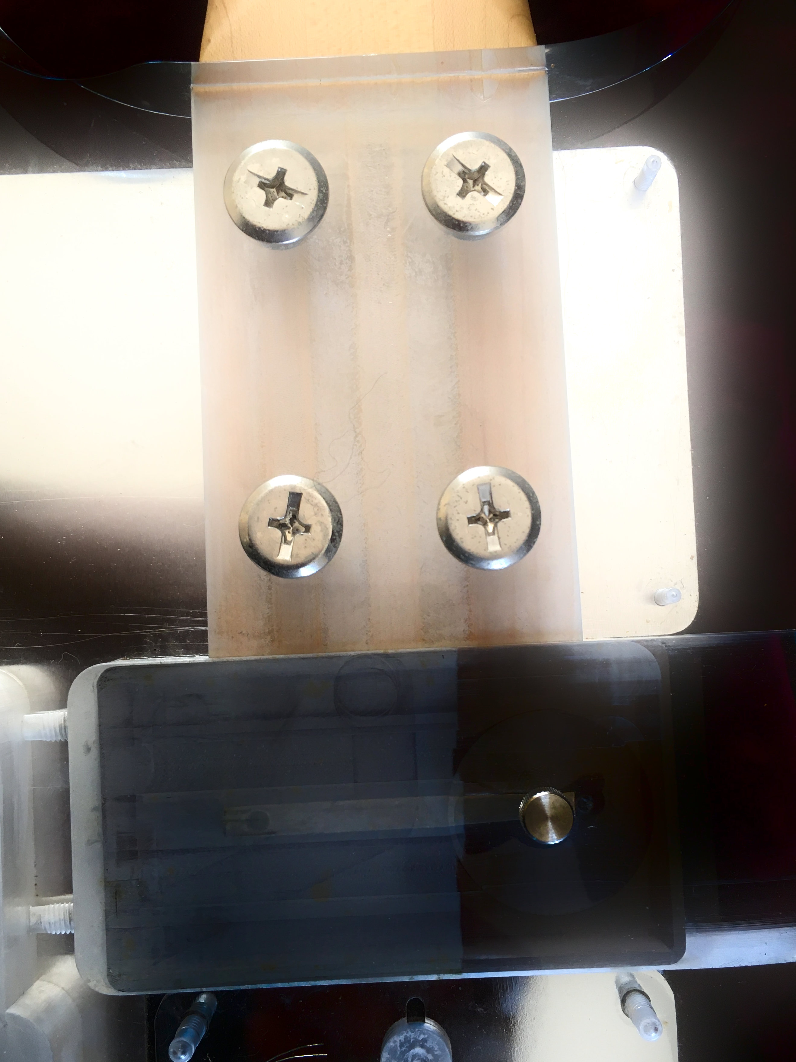 Ampeg Lucite clear (14)