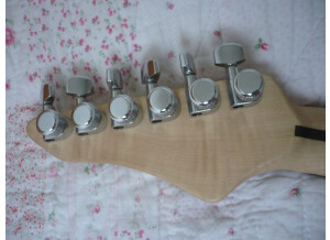 Vigier Excalibur Shawn Lane
