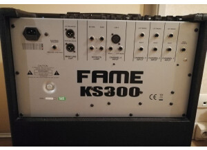 Fame KS-300 (7818)