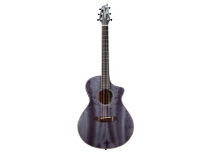 Breedlove Oregon Concert Thinline CE