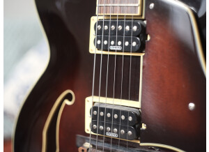 LumixSync copy 2023-10-17 10:14:16 +0000JpegFile