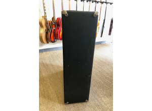 Fender Bassman 2x15 Cabinet (1969) (76243)