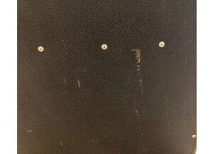 Fender Bassman 2x15 Cabinet (1969) (82234)