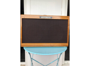 Kendrick Specialty Jazz Amp