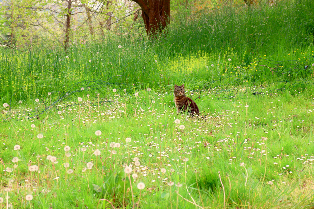 5849735.jpg 5849735.jpg