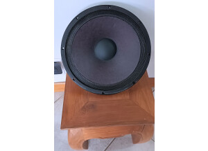 Image1