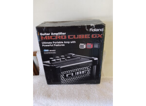 Roland Micro Cube GX (95695)