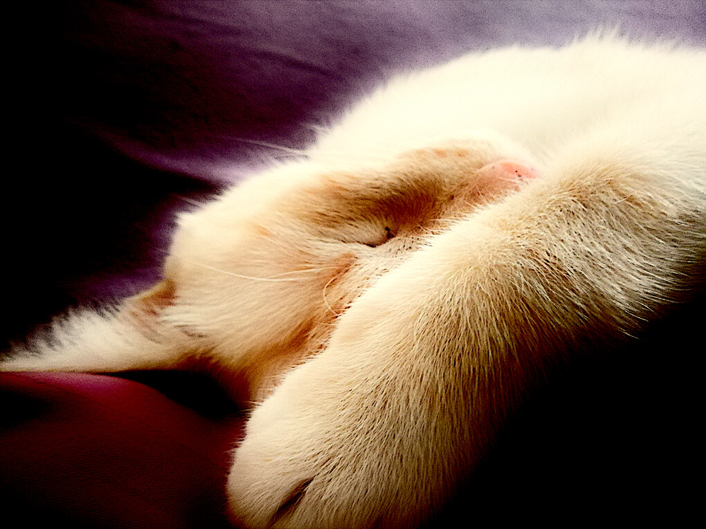 5849997.png 5849997.png