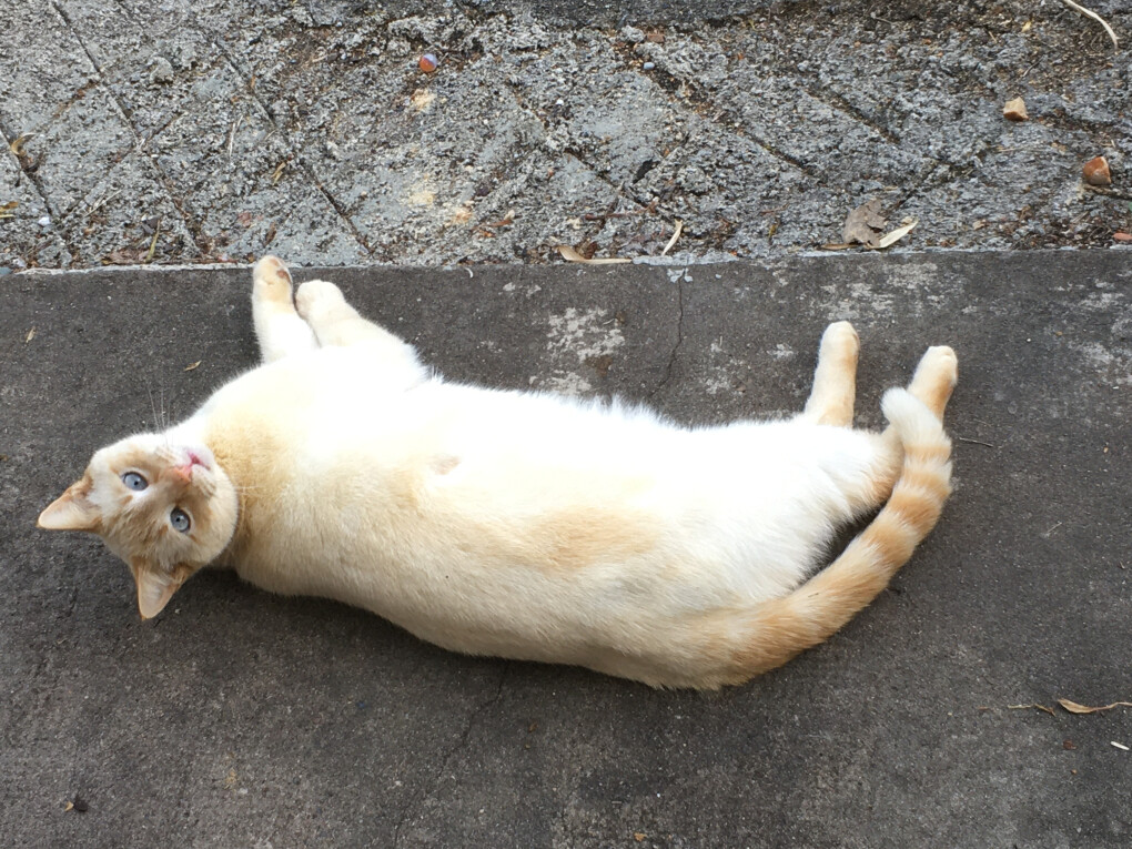 5850267.jpg 5850267.jpg