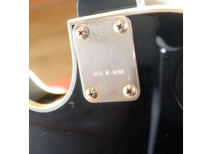 les-paul-custom-paul-beuscher-5
