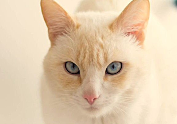 5850911.png 5850911.png