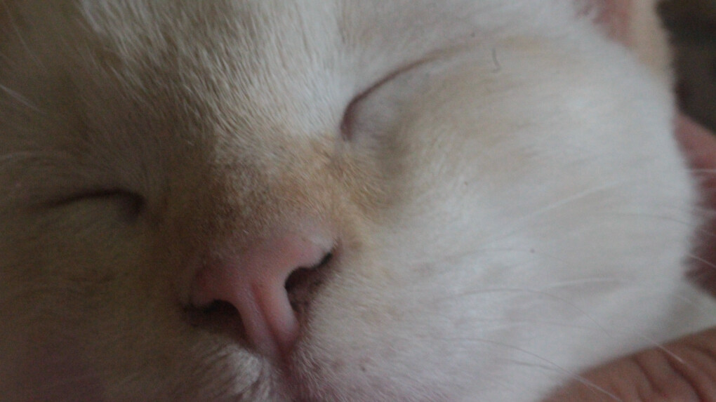 5850912.jpg 5850912.jpg