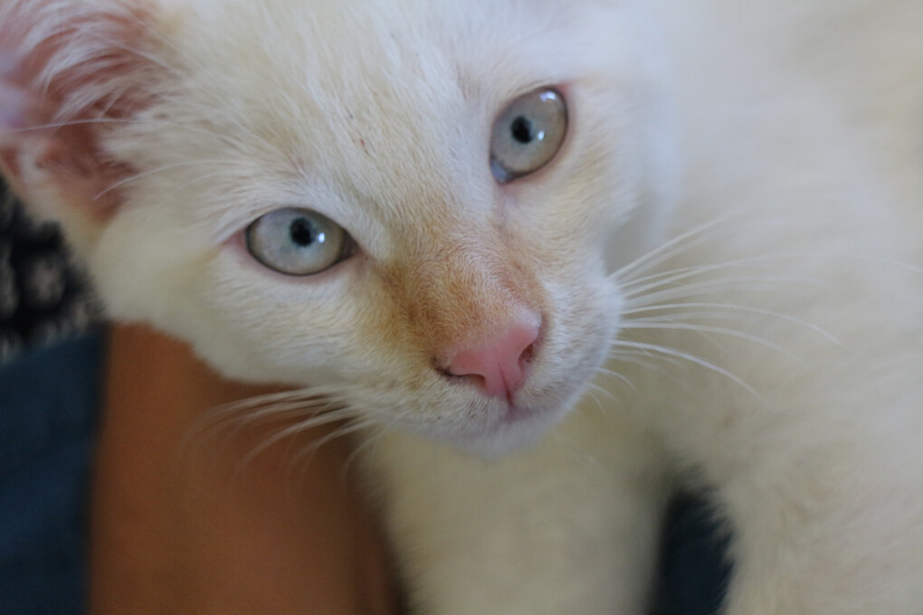 5850913.jpg 5850913.jpg