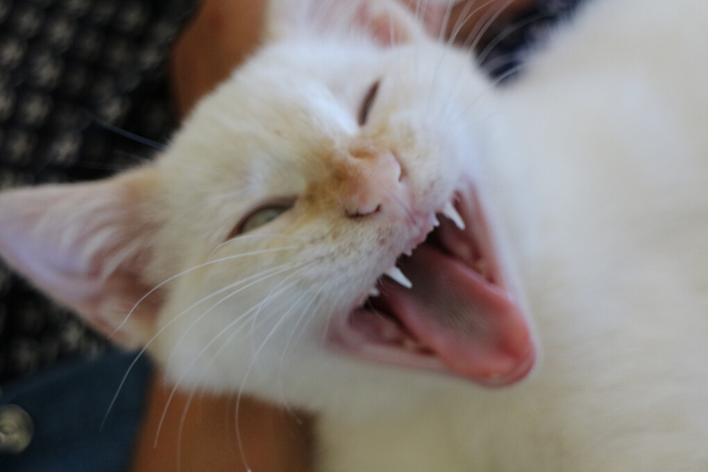 5850914.jpg 5850914.jpg