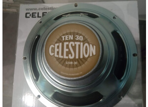 Celestion Ten 30 (73024)