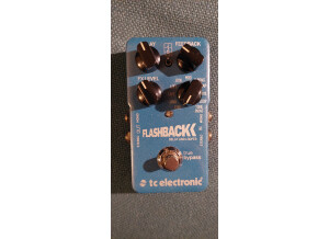 TC Electronic Flashback Delay (95440)