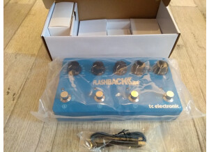 TC Electronic Flashback 2 x4 (62027)
