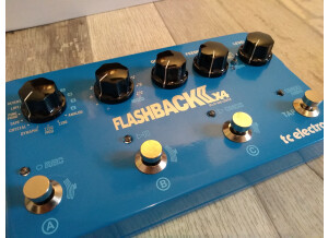 TC Electronic Flashback 2 x4 (65762)